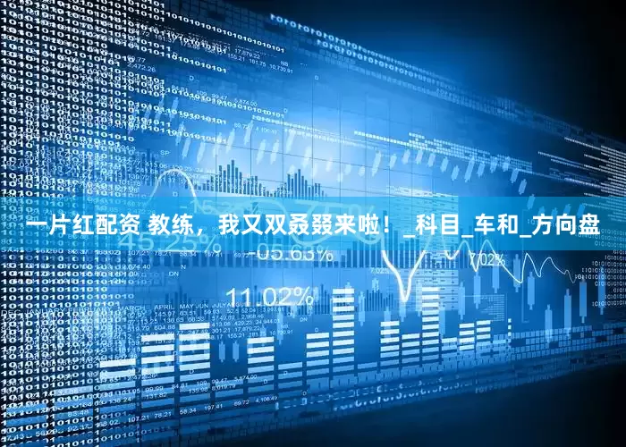 一片红配资 教练，我又双叒叕来啦！_科目_车和_方向盘