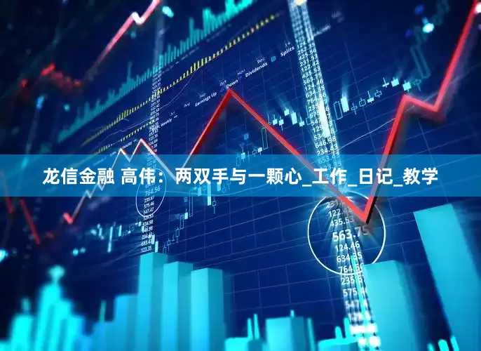 龙信金融 高伟：两双手与一颗心_工作_日记_教学