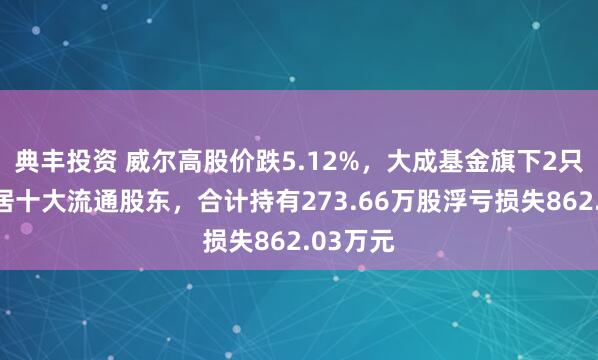典丰投资 威尔高股价跌5.12%，大成基金旗下2只基金位居十大流通股东，合计持有273.66万股浮亏损失862.03万元