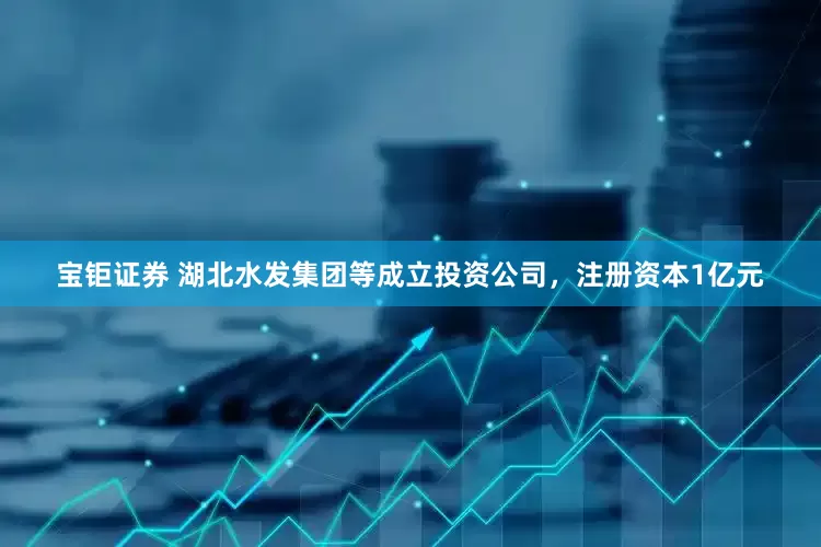 宝钜证券 湖北水发集团等成立投资公司，注册资本1亿元