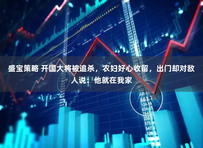 盛宝策略 开国大将被追杀，农妇好心收留，出门却对敌人说：他就在我家