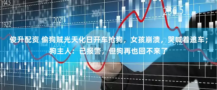 俊升配资 偷狗贼光天化日开车抢狗，女孩崩溃，哭喊着追车；狗主人：已报警，但狗再也回不来了